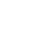 Nexa Event logo